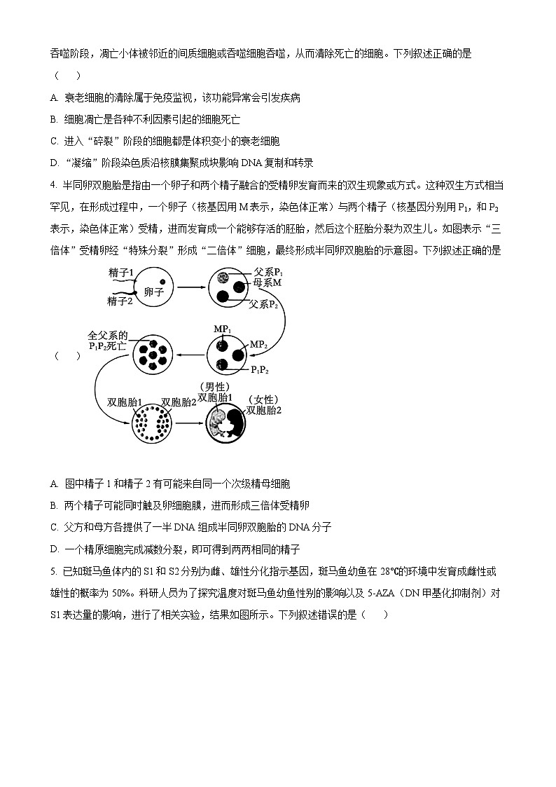 安徽省池州市部分省示范中学2024届高三下学期模拟考试模拟预测生物试题 Word版无答案第2页