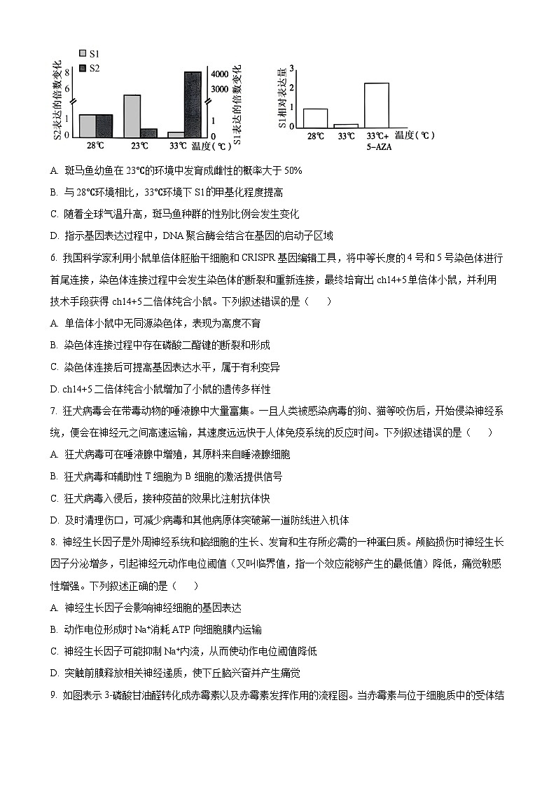 安徽省池州市部分省示范中学2024届高三下学期模拟考试模拟预测生物试题 Word版无答案第3页