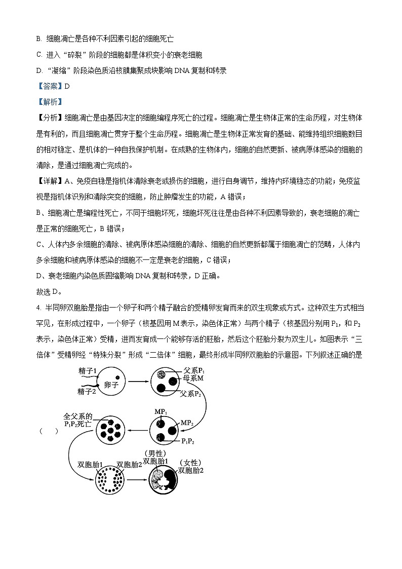 安徽省池州市部分省示范中学2024届高三下学期模拟考试模拟预测生物试题 Word版含解析第3页