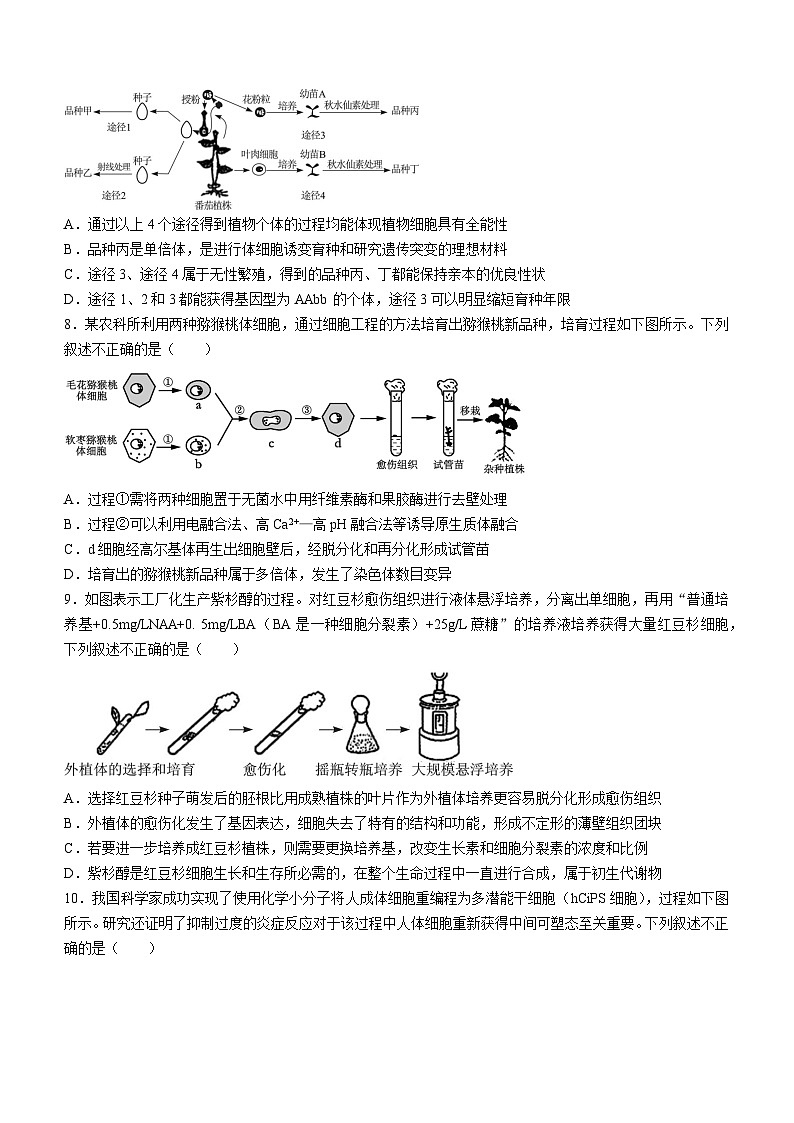 2024武汉腾云联盟高二下学期5月联考生物试卷含解析第3页