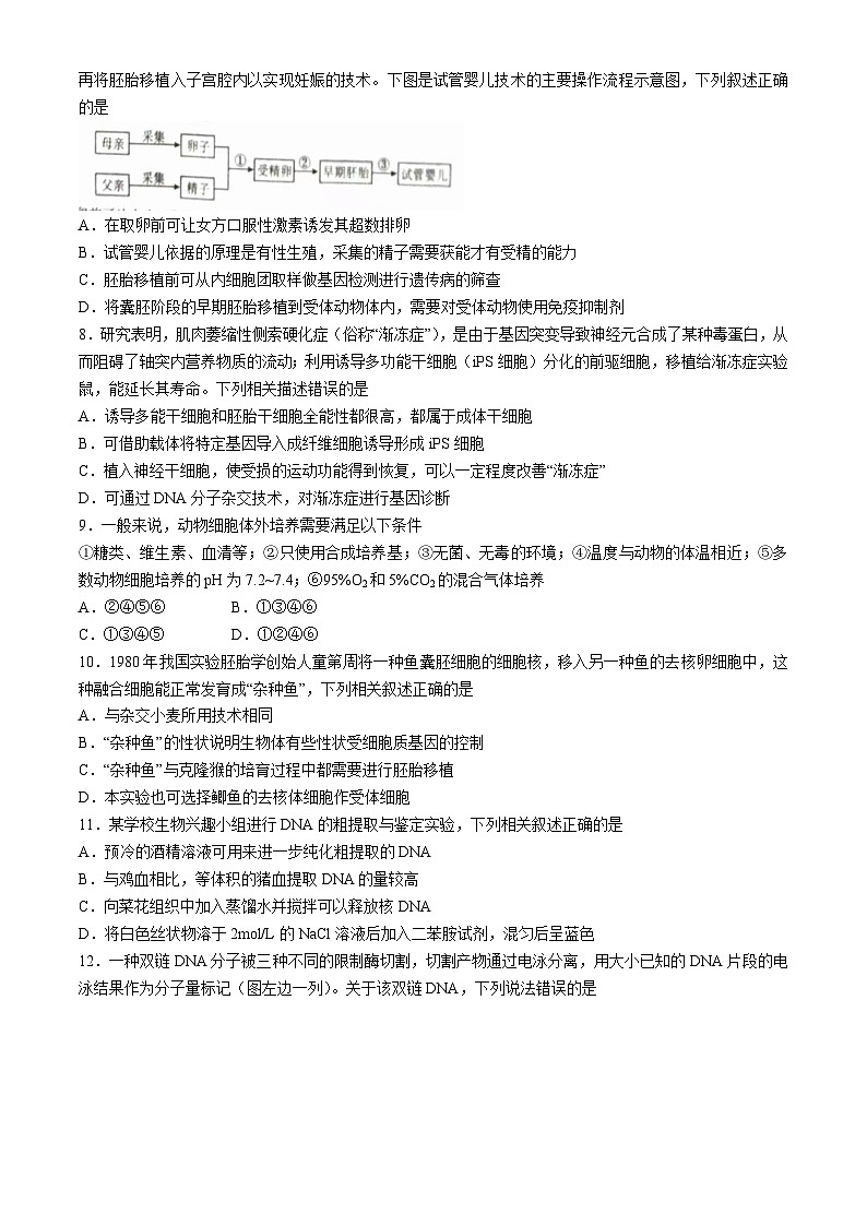 2024三门峡高二下学期5月期末考试生物含答案第3页
