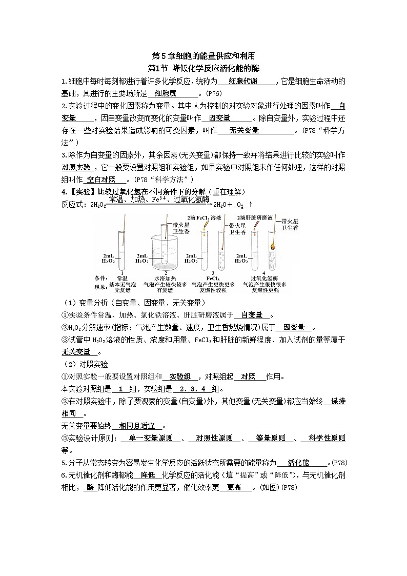 第5章细胞的能量供应和利用必备知识点(教师版)第1页