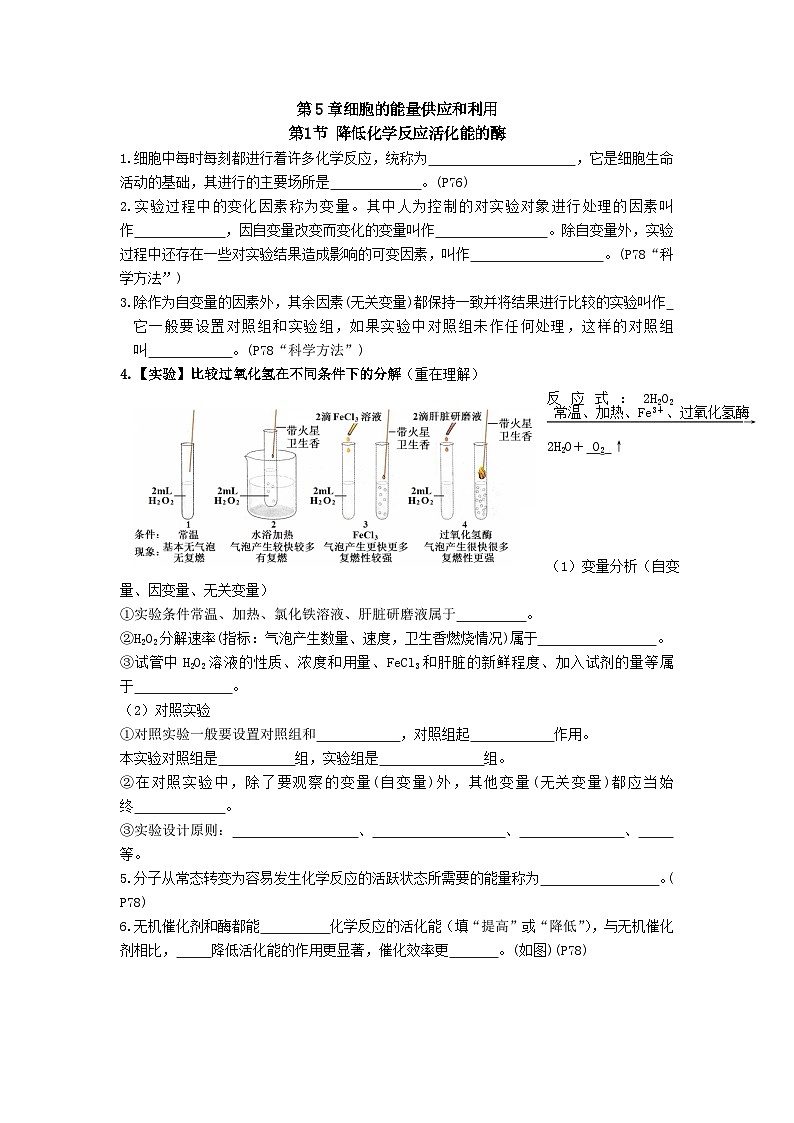 第5章细胞的能量供应和利用必默知识点(学生版)第1页