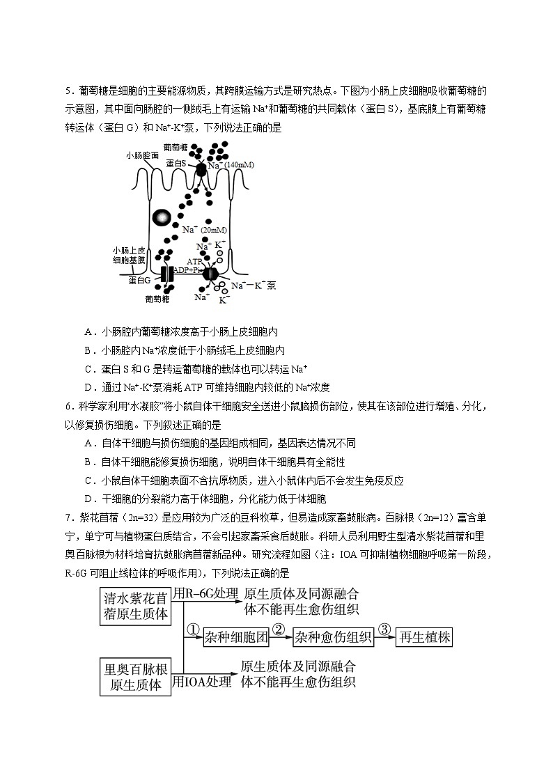 江苏省扬州市高邮市2023-2024学年高二下学期5月月考生物试卷(Word版附答案)02
