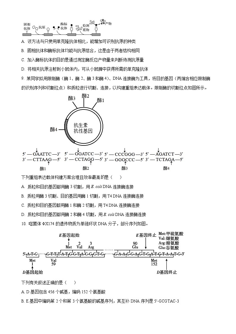 浙江省杭州市学军中学2024届高三下学期三模生物试题(Word版附解析)03