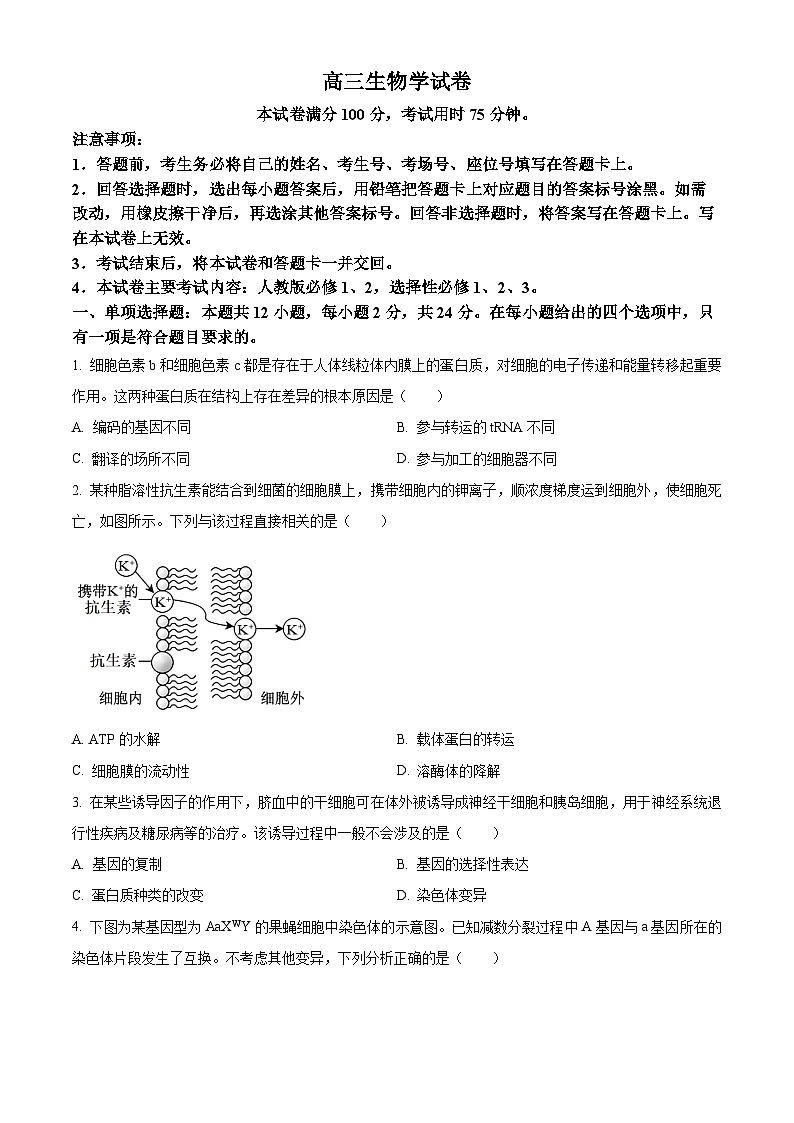 2024届江西省部分学校高三下学期5月第一次适应性考试大联考生物(原卷版)第1页