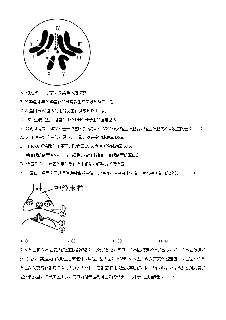 2024届江西省部分学校高三下学期5月第一次适应性考试大联考生物(原卷版)第2页