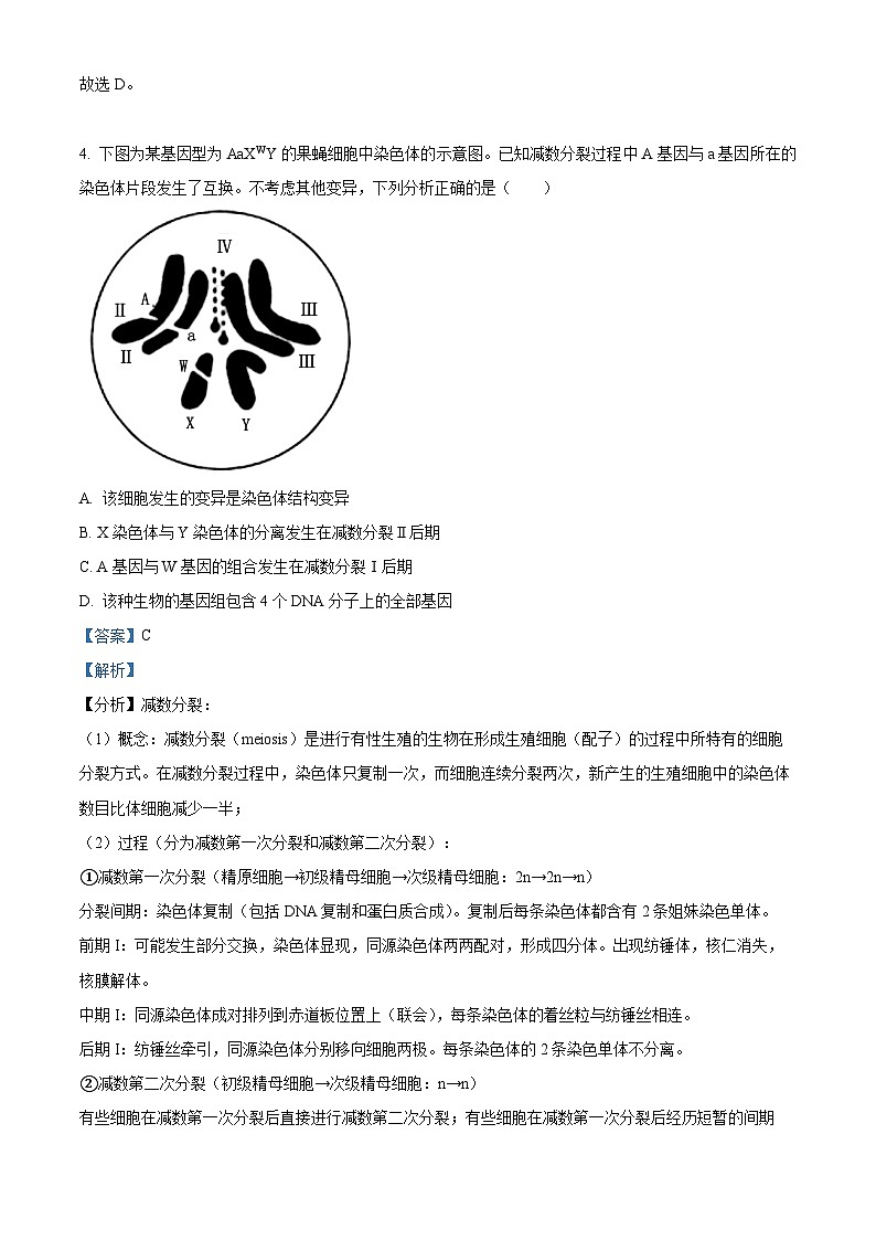 2024届江西省部分学校高三下学期5月第一次适应性考试大联考生物(解析版)第3页