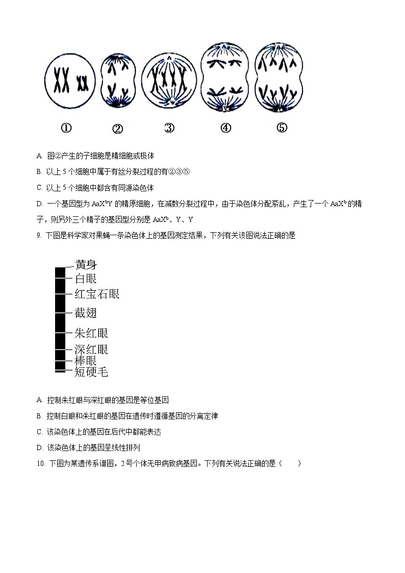黑龙江省齐齐哈尔市建华区实验中学2023-2024学年高一下学期5月期中生物试题(原卷版+解析版)03