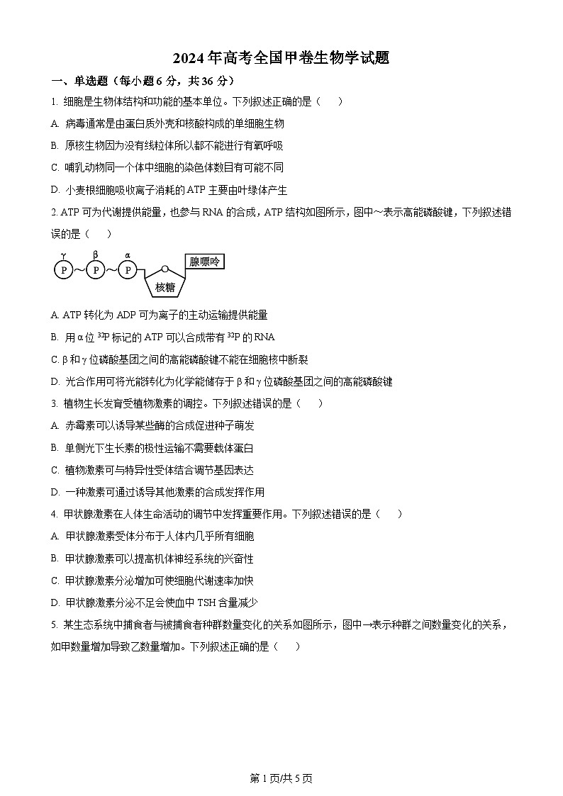 2024全国高考真题甲卷生物试卷及答案解析01