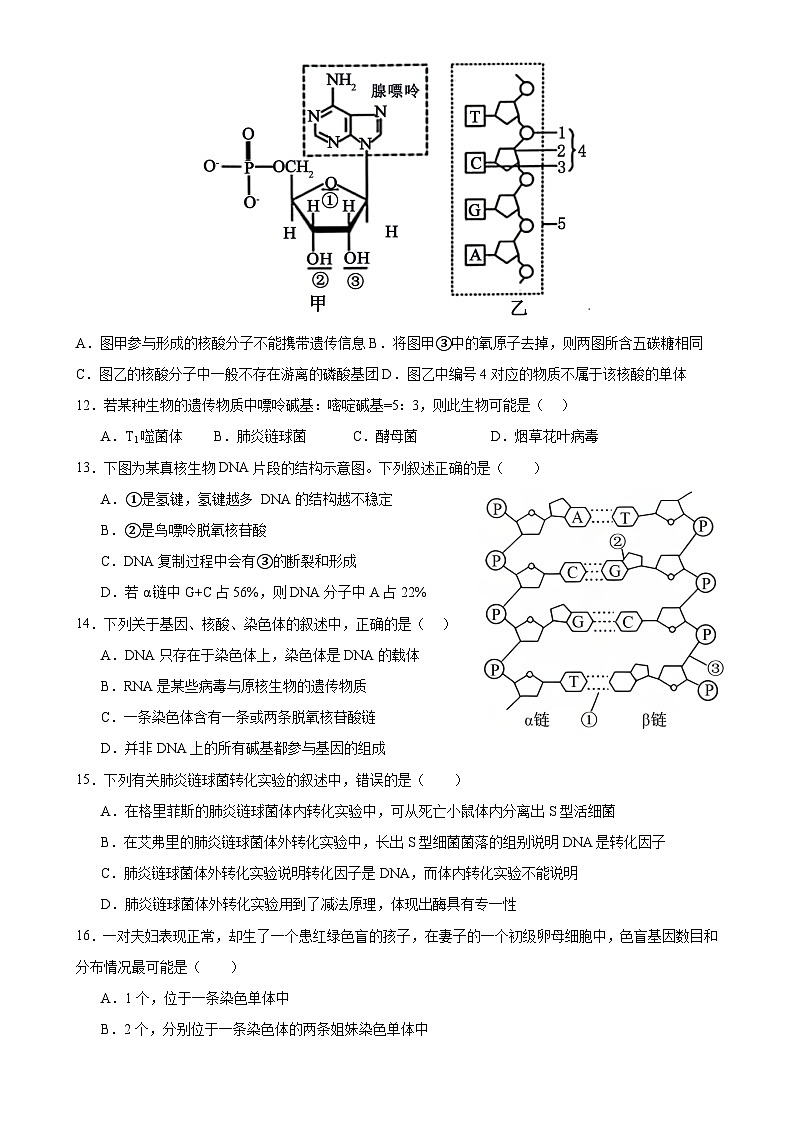 四川省内江市威远中学校2023-2024学年高一下学期第二次月考生物试题03