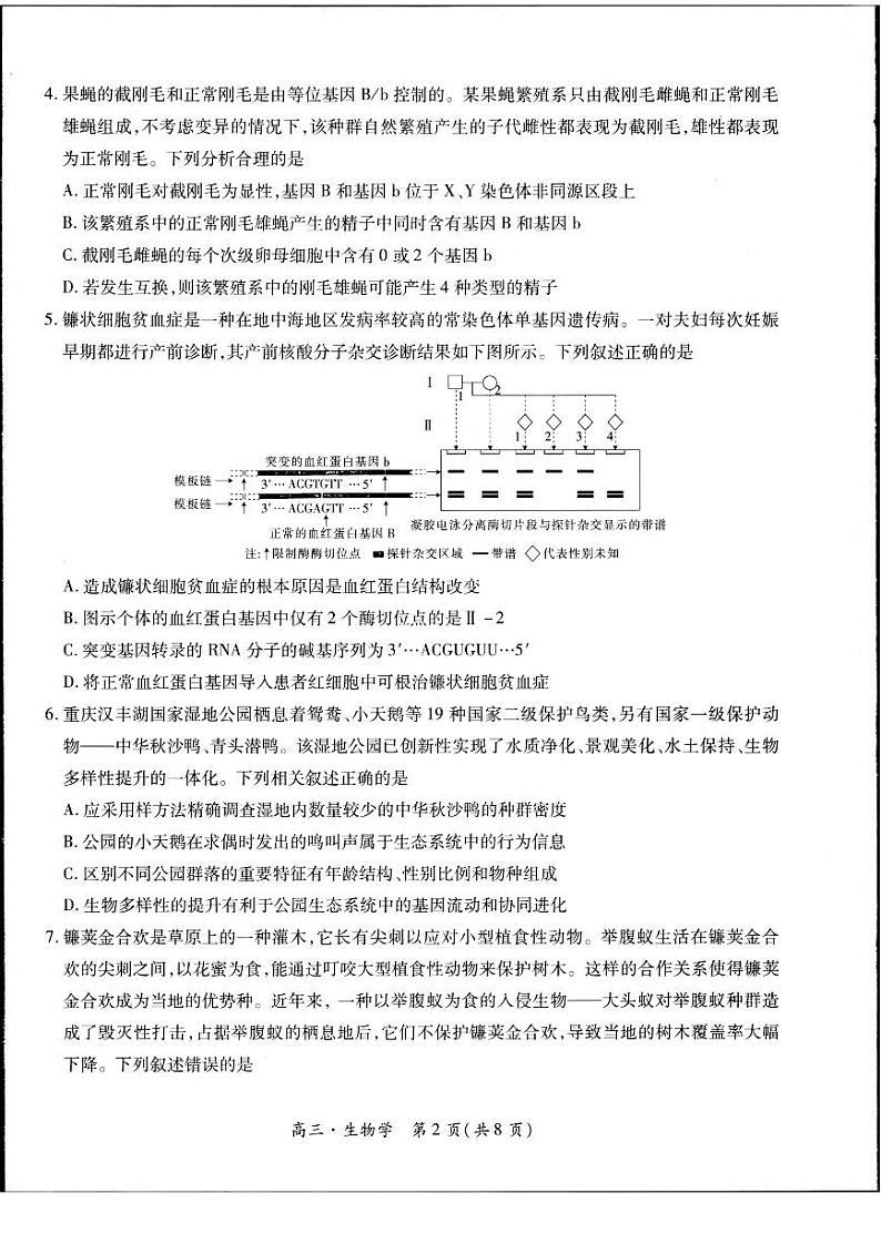 2023-2024学年江西省高三5月高考适应性大练兵联考生物第2页