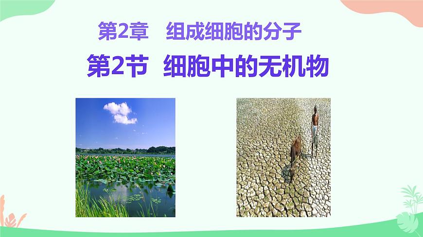 【核心素養(yǎng)】人教版高中生物必修一2.2《細(xì)胞中的無機(jī)物》課件第1頁