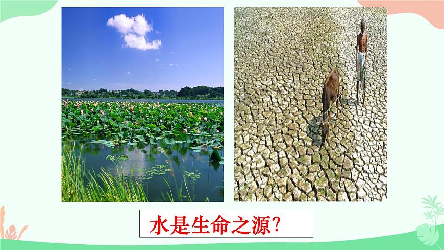 【核心素養(yǎng)】人教版高中生物必修一2.2《細(xì)胞中的無機(jī)物》課件第4頁