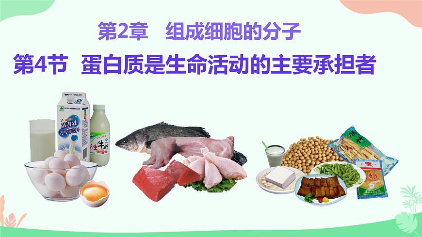 【核心素養(yǎng)】人教版高中生物必修一2.4《蛋白質是生命活動的主要承擔者》課件第1頁