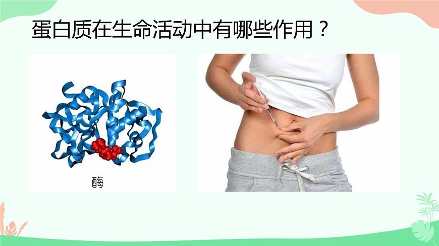 【核心素養(yǎng)】人教版高中生物必修一2.4《蛋白質是生命活動的主要承擔者》課件第6頁