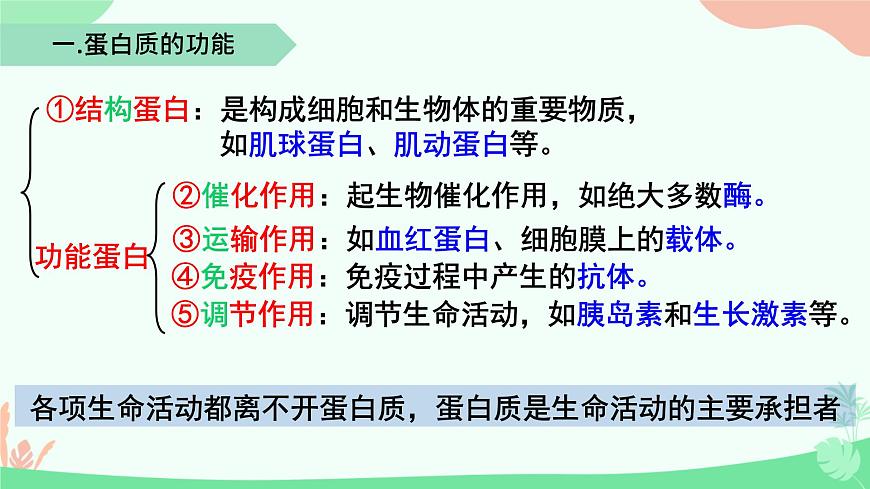 【核心素養(yǎng)】人教版高中生物必修一2.4《蛋白質是生命活動的主要承擔者》課件第8頁