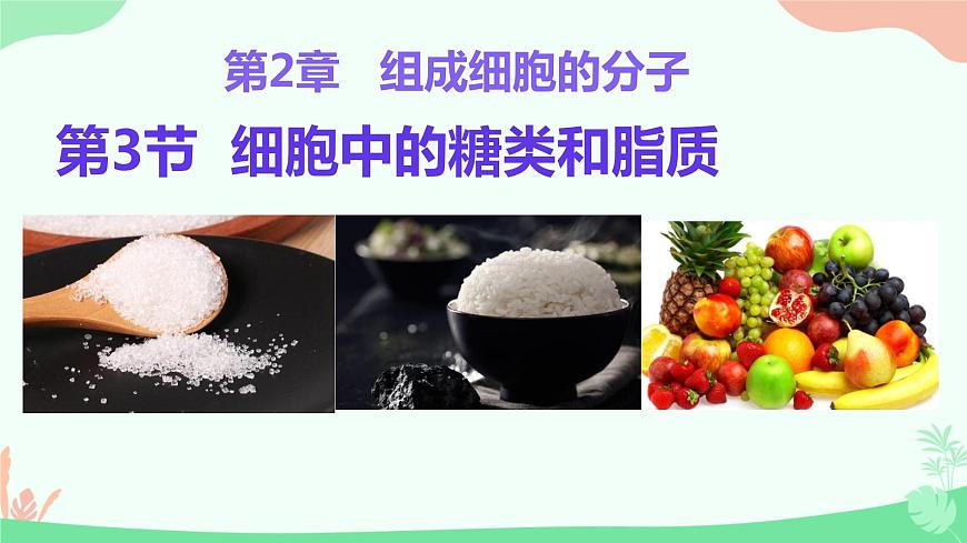 【核心素養(yǎng)】人教版高中生物必修一2.3《細(xì)胞中的糖類和脂質(zhì)》課件第1頁
