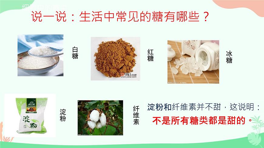 【核心素養(yǎng)】人教版高中生物必修一2.3《細(xì)胞中的糖類和脂質(zhì)》課件第7頁