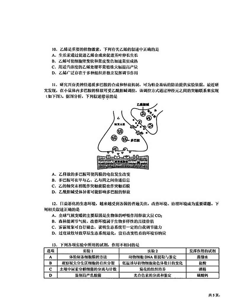 2024北京十一学校高三三模生物试卷及答案第3页