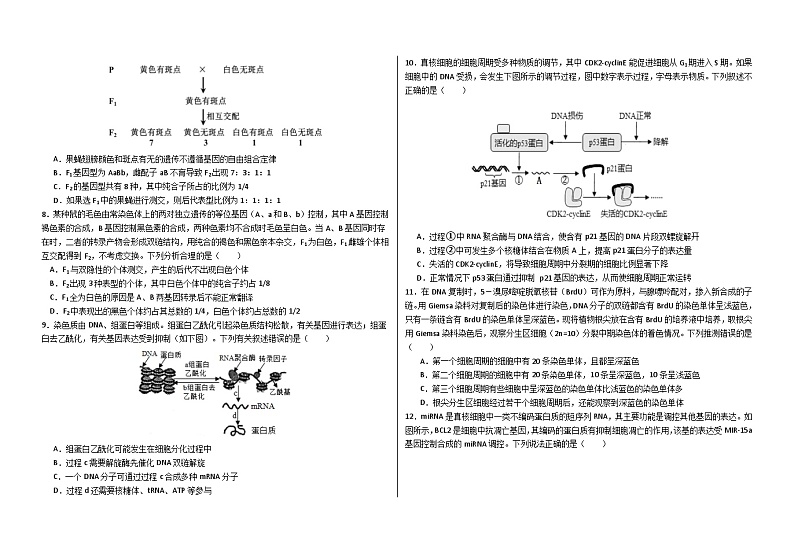 黑龙江省大庆铁人中学2023-2024学年高一下学期期中考试生物试题(Word版附答案)02