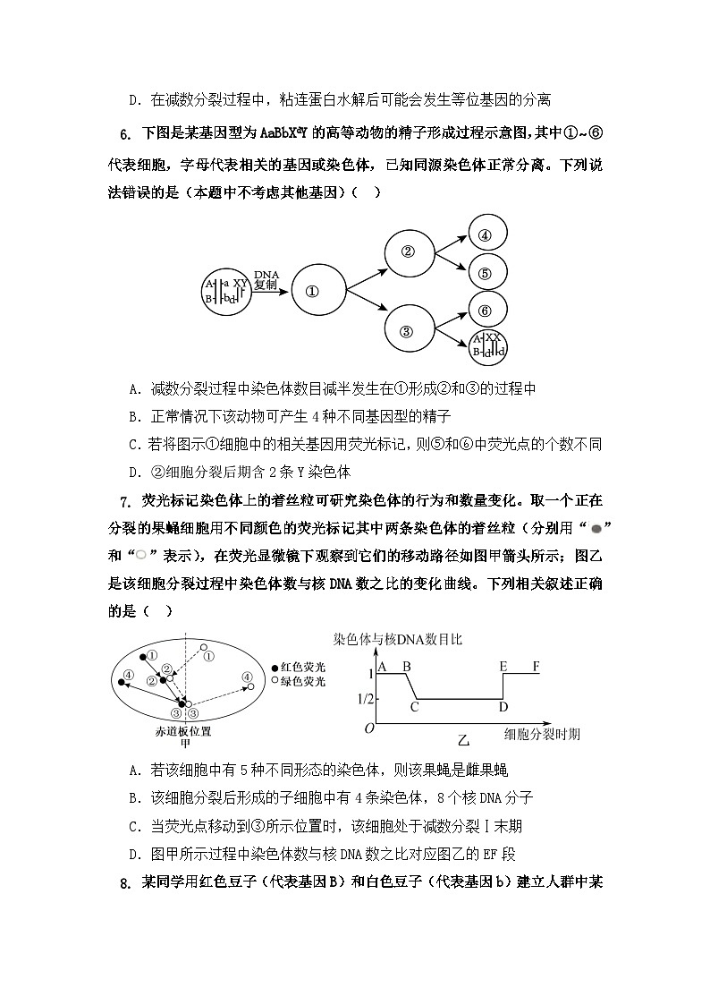 四川省达州市万源中学2023-2024学年高一下学期第二次月考生物试题(Word版附答案)03