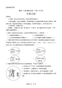 四川省南充市嘉陵第一中学2023-2024学年高一下学期5月月考生物试题（Word版附答案）