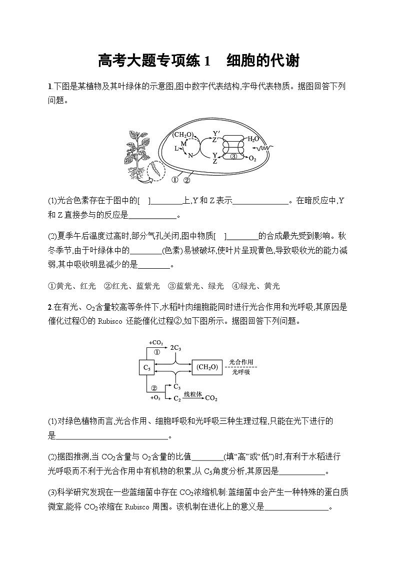 新教材高考生物一轮复习大题专项练1细胞的代谢含答案第1页