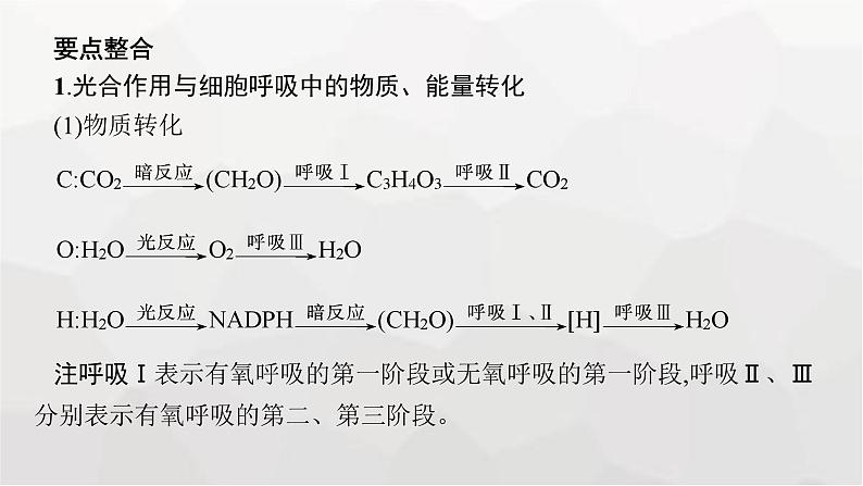 新教材高考生物一轮复习能力素养提升课2光合作用与细胞呼吸的综合分析及应用课件06