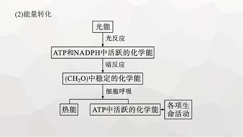 新教材高考生物一轮复习能力素养提升课2光合作用与细胞呼吸的综合分析及应用课件07
