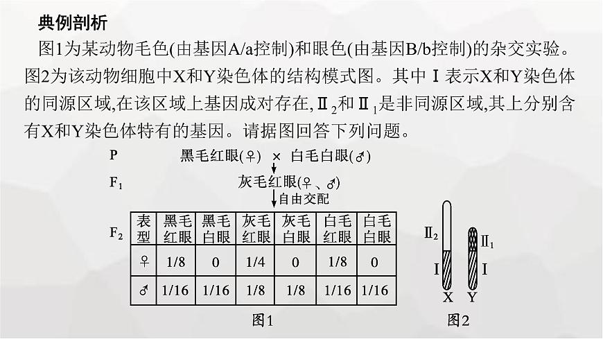 新教材高考生物一輪復(fù)習(xí)能力素養(yǎng)提升課5基因定位的遺傳實(shí)驗(yàn)設(shè)計(jì)與分析課件第2頁(yè)
