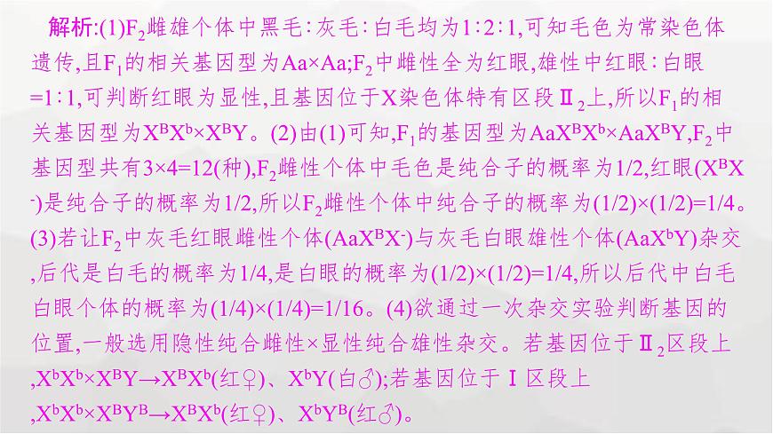 新教材高考生物一輪復(fù)習(xí)能力素養(yǎng)提升課5基因定位的遺傳實(shí)驗(yàn)設(shè)計(jì)與分析課件第5頁(yè)