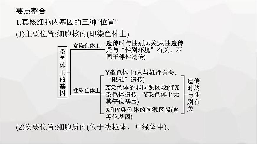 新教材高考生物一輪復(fù)習(xí)能力素養(yǎng)提升課5基因定位的遺傳實(shí)驗(yàn)設(shè)計(jì)與分析課件第6頁(yè)
