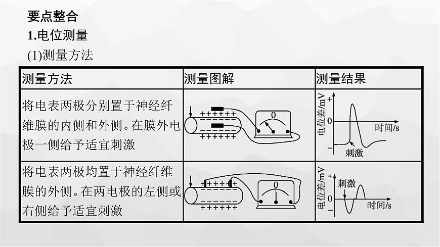 新教材高考生物一輪復習能力素養(yǎng)提升課6電表偏轉問題及興奮傳導方向的實驗探究課件第4頁