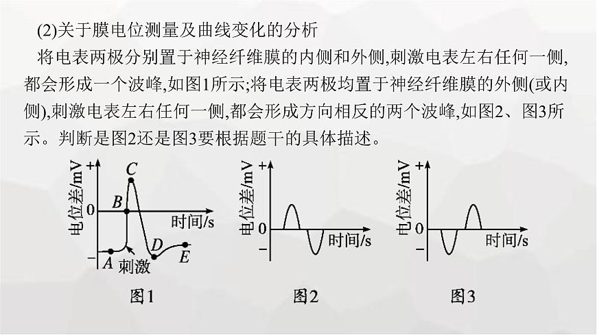新教材高考生物一輪復習能力素養(yǎng)提升課6電表偏轉問題及興奮傳導方向的實驗探究課件第5頁