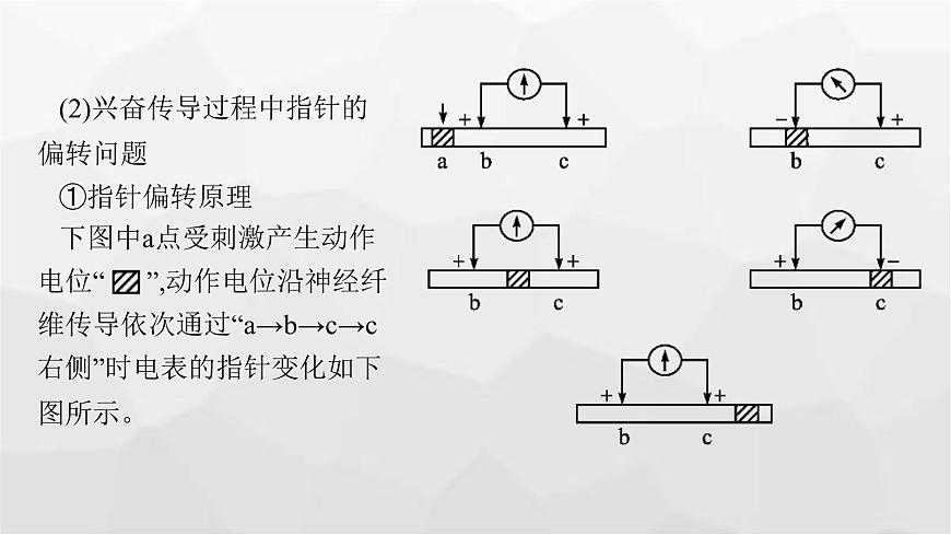 新教材高考生物一輪復習能力素養(yǎng)提升課6電表偏轉問題及興奮傳導方向的實驗探究課件第7頁