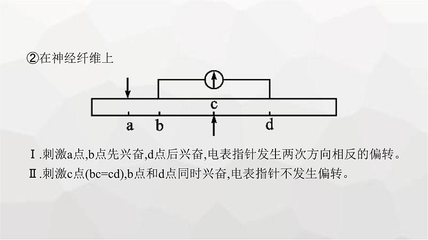 新教材高考生物一輪復習能力素養(yǎng)提升課6電表偏轉問題及興奮傳導方向的實驗探究課件第8頁