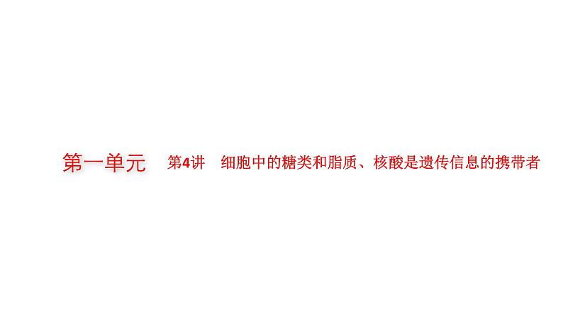 新教材高考生物一轮复习第1单元第4讲细胞中的糖类和脂质、核酸是遗传信息的携带者课件01