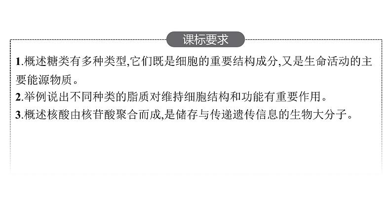 新教材高考生物一轮复习第1单元第4讲细胞中的糖类和脂质、核酸是遗传信息的携带者课件02