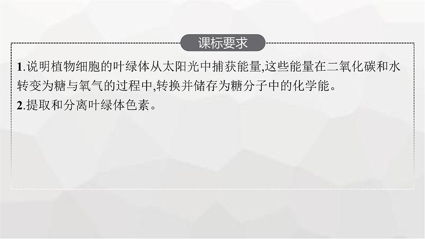 新教材高考生物一輪復習第3單元細胞的能量供應和利用第3講光合作用與能量轉(zhuǎn)化課件第2頁