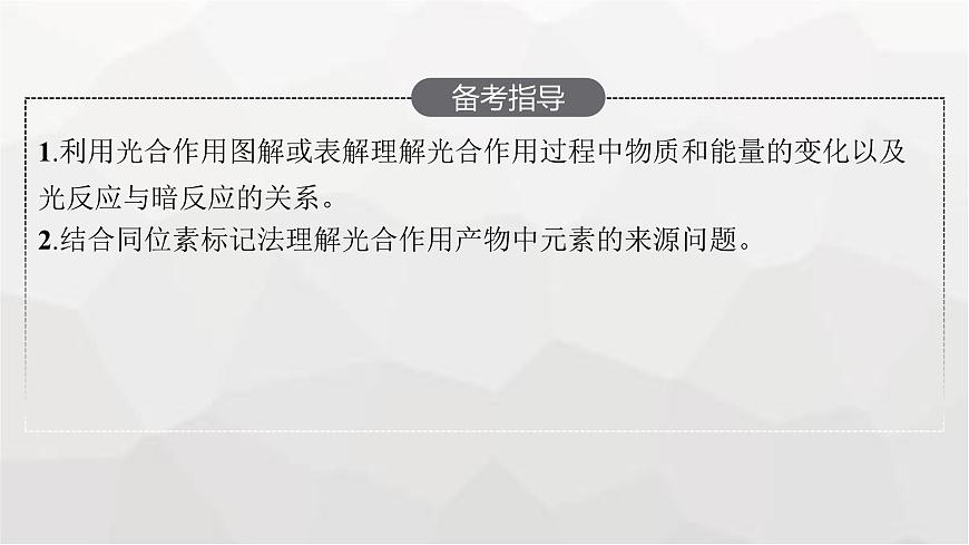 新教材高考生物一輪復習第3單元細胞的能量供應和利用第3講光合作用與能量轉(zhuǎn)化課件第3頁