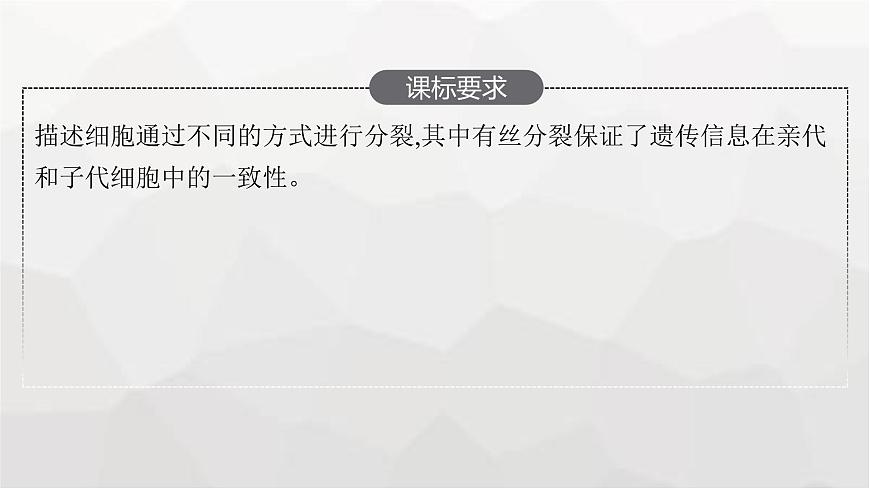 新教材高考生物一輪復習第4單元細胞的生命歷程第1講細胞的增殖課件第2頁