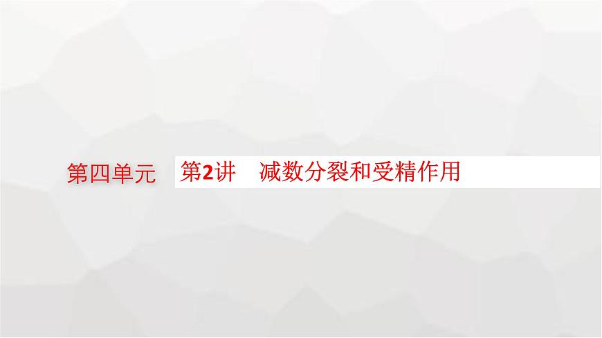 新教材高考生物一輪復(fù)習(xí)第4單元細(xì)胞的生命歷程第2講減數(shù)分裂和受精作用課件第1頁(yè)