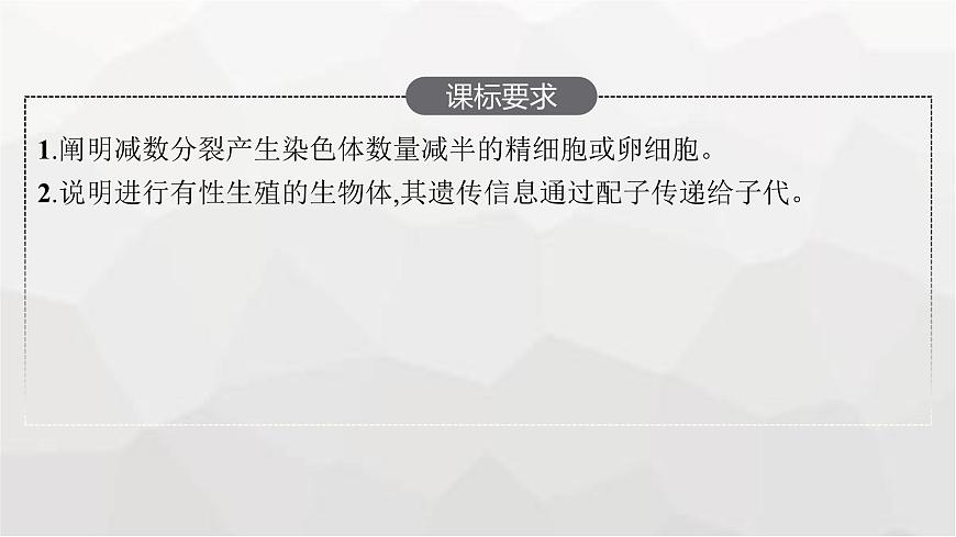 新教材高考生物一輪復(fù)習(xí)第4單元細(xì)胞的生命歷程第2講減數(shù)分裂和受精作用課件第2頁(yè)