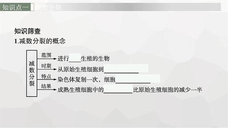 新教材高考生物一輪復(fù)習(xí)第4單元細(xì)胞的生命歷程第2講減數(shù)分裂和受精作用課件第6頁(yè)