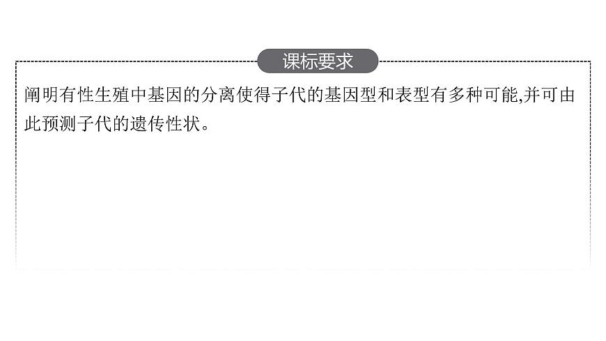 新教材高考生物一輪復(fù)習第5單元遺傳因子的發(fā)現(xiàn)和伴性遺傳第1講孟德爾的豌豆雜交實驗(一)課件第2頁