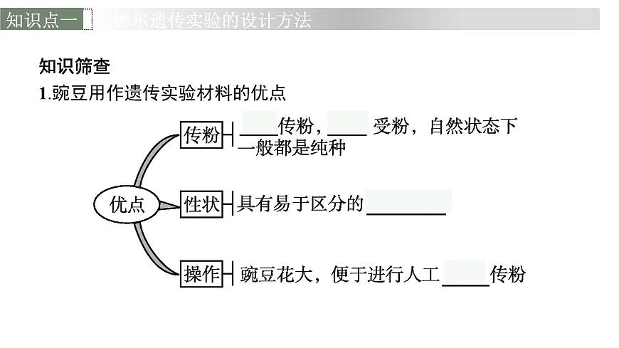 新教材高考生物一輪復(fù)習第5單元遺傳因子的發(fā)現(xiàn)和伴性遺傳第1講孟德爾的豌豆雜交實驗(一)課件第6頁