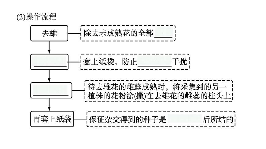 新教材高考生物一輪復(fù)習第5單元遺傳因子的發(fā)現(xiàn)和伴性遺傳第1講孟德爾的豌豆雜交實驗(一)課件第8頁