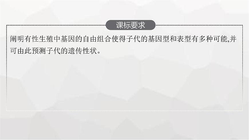 新教材高考生物一輪復(fù)習(xí)第5單元遺傳因子的發(fā)現(xiàn)和伴性遺傳第2講孟德爾的豌豆雜交實(shí)驗(yàn)(二)課件第2頁