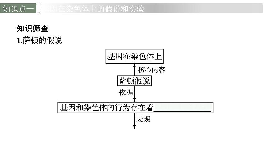 新教材高考生物一輪復(fù)習(xí)第5單元遺傳因子的發(fā)現(xiàn)和伴性遺傳第3講基因在染色體上、伴性遺傳、人類遺傳病課件第6頁(yè)